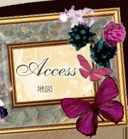 access